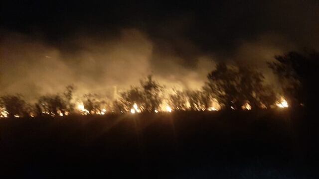 Se mantienen los focos de incendios forestales en la provincia de Misiones.