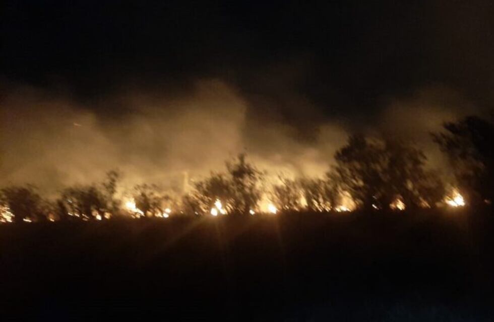 Se mantienen los focos de incendios forestales en la provincia de Misiones