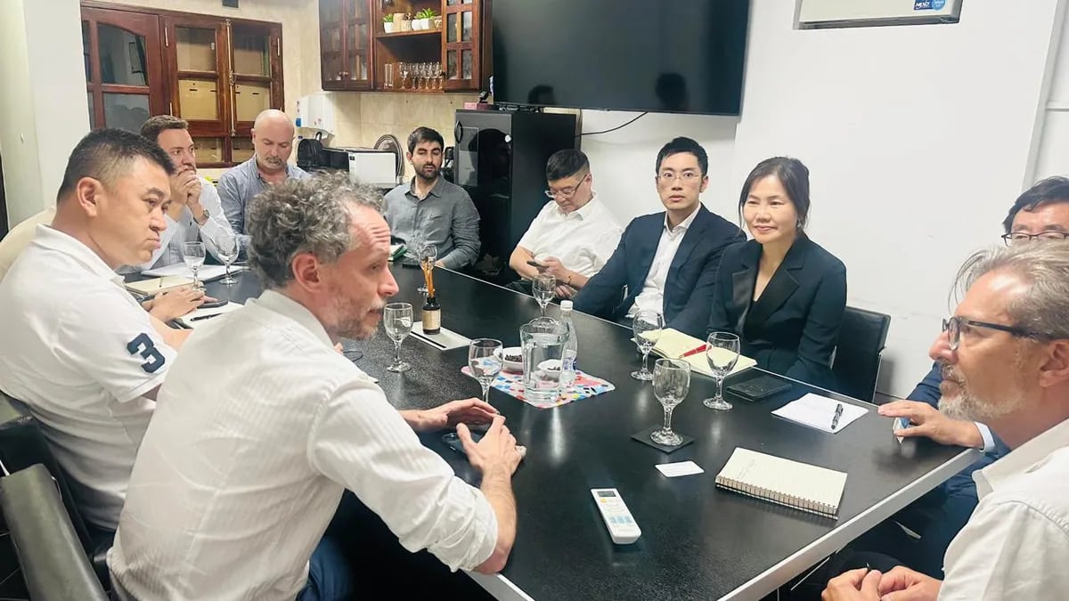 En la reunión de Ambiente y Minería con la comitiva china se acordó avanzar en una agenda de trabajo conjunta entre el sector público de Jujuy y la empresa, con el fin de evaluar nuevos proyectos y acompañar su desarrollo de manera ordenada y sostenible.
