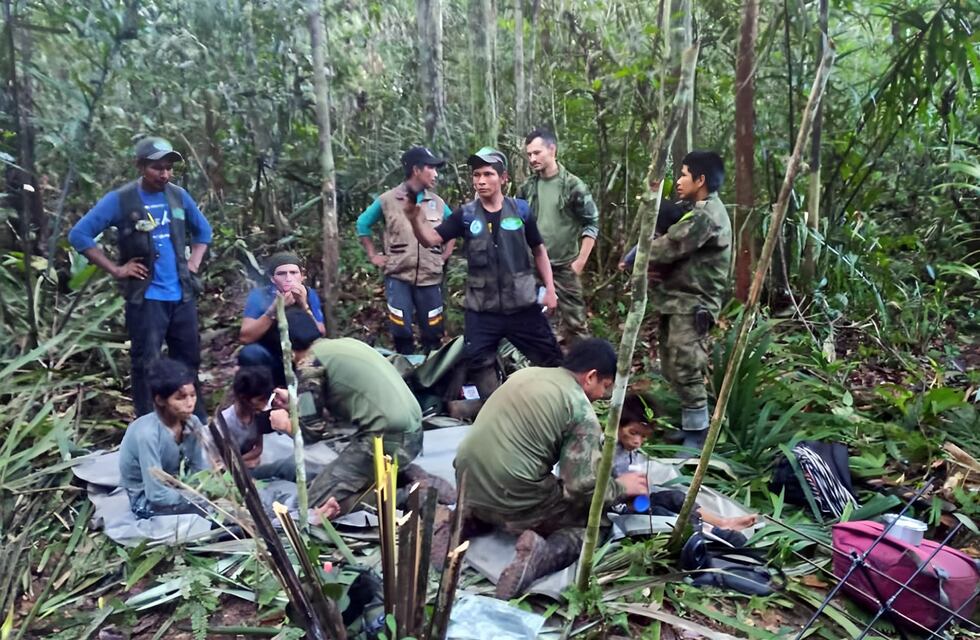 Hallaron vivos a los cuatro menores que estaban perdidos en la selva tras estrellarse la avioneta en la que viajaban