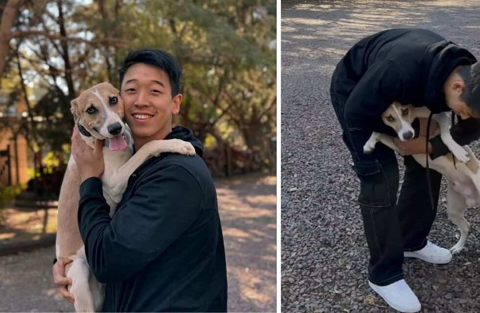Arturo, el perro de Gran Hermano que adoptó Martín Ku, debe ser operado: qué le pasó