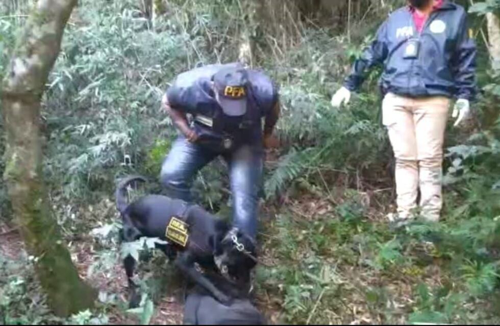 Secuestraron más de 4 kilogramos de marihuana