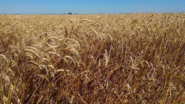 Todo listo para una nueva edición en Tandil de Agrotur