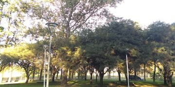 Bosquecillo Héroes de Malvinas
