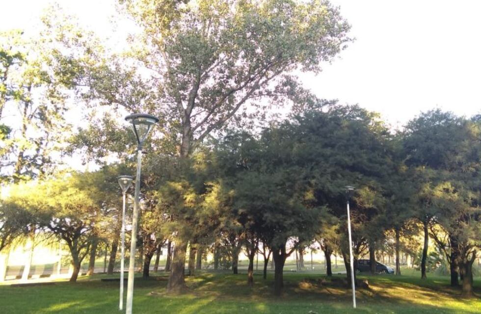 Bautizan como Heroes de Malvinas a un bosquecillo en la UTN
