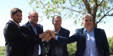 Maximiliano Pullaro, Omar Perotti, Juan Schiaretti y Martín Llaryora. (Ilustrativa)