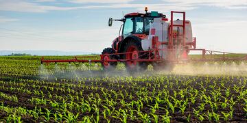 Tractor spraying young corn with pesticides