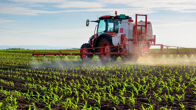 Tractor spraying young corn with pesticides