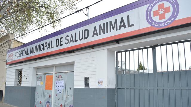 El Hospital de Salud Animal celebró la atención de su paciente 10.000