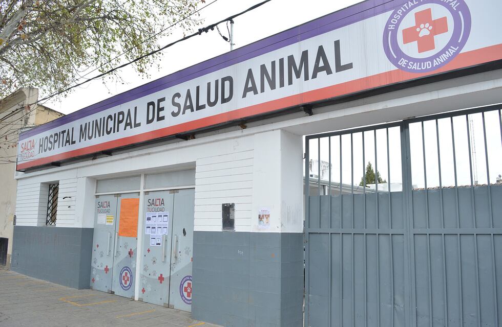 El Hospital de Salud Animal activó el protocolo de coronavirus por un caso positivo