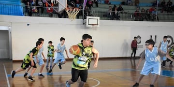 El IMD puso en marcha la Liga Municipal de Mini Básquet
