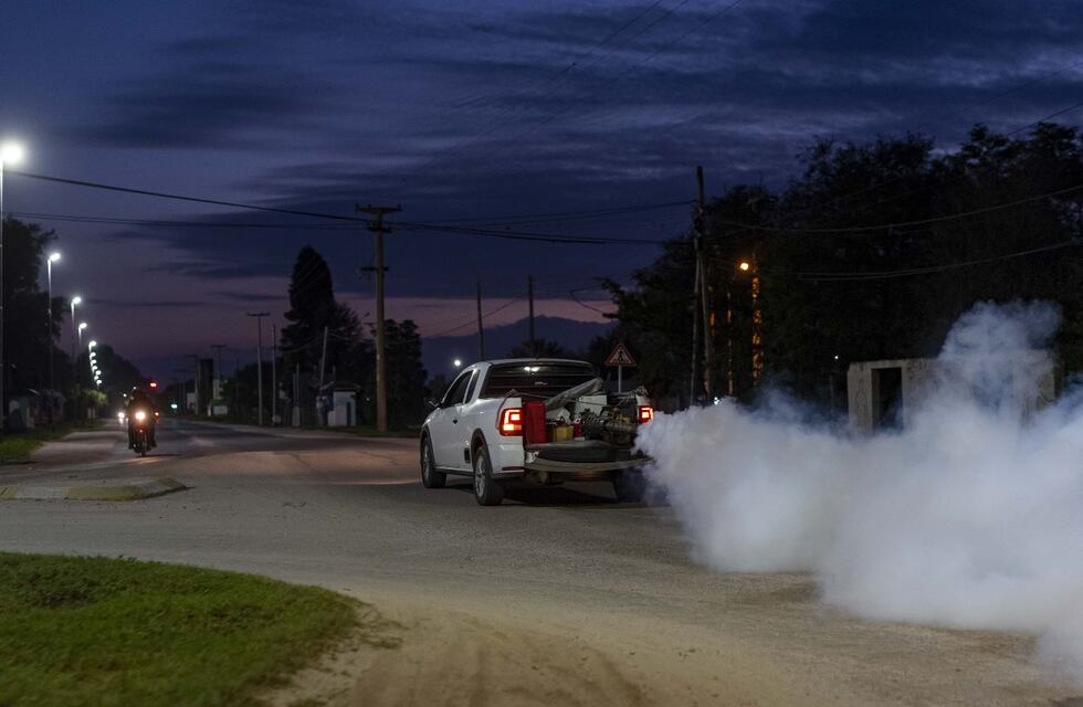 Dengue en Córdoba: en qué barrios de la capital fumigarán este jueves 25 de enero