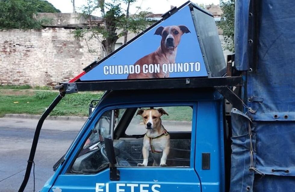 Quinoto: el perro del fletero que se hizo viral y ahora puede ingresar a Pago Chico