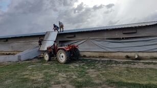 Un tornado provocó pérdidas millonarias en una granja en el interior de Córdoba.