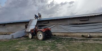 Un tornado provocó pérdidas millonarias en una granja en el interior de Córdoba.