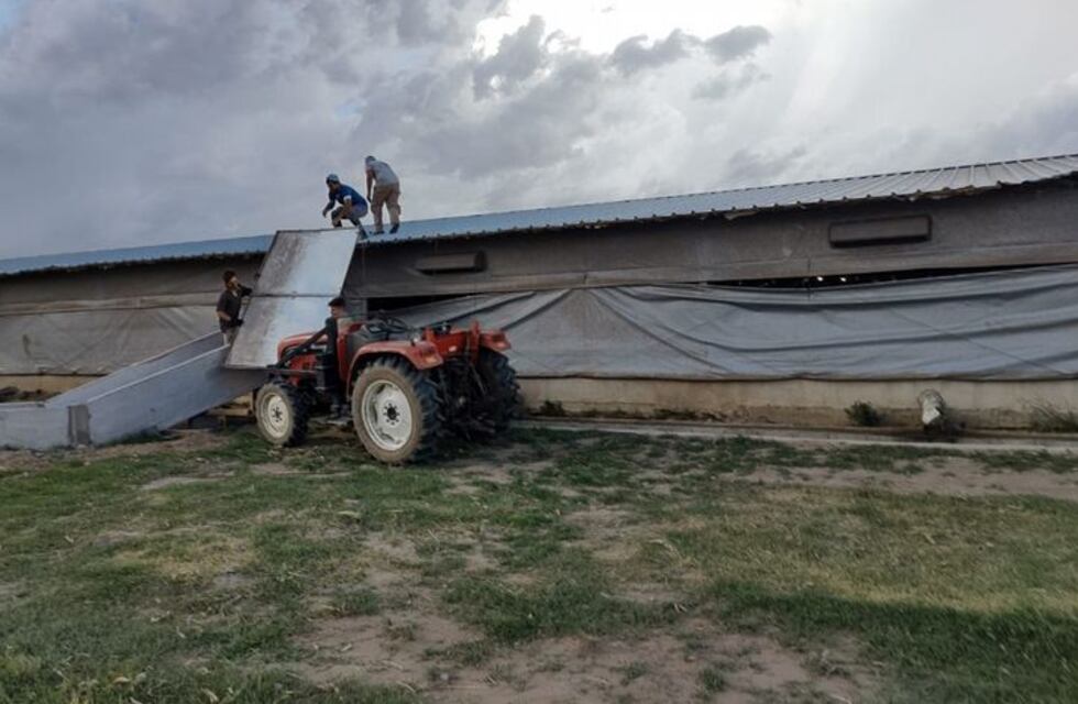 Un tornado arrasó con todo en el interior de Córdoba: hay daños millonarios en una granja