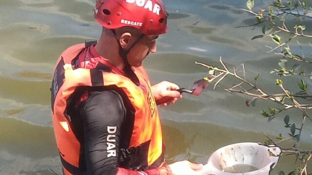 Las calotas fueron halladas por los bomberos del Duar. (Policía)