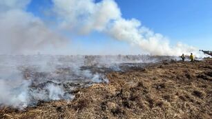 Incendio zona rural de Arroyito