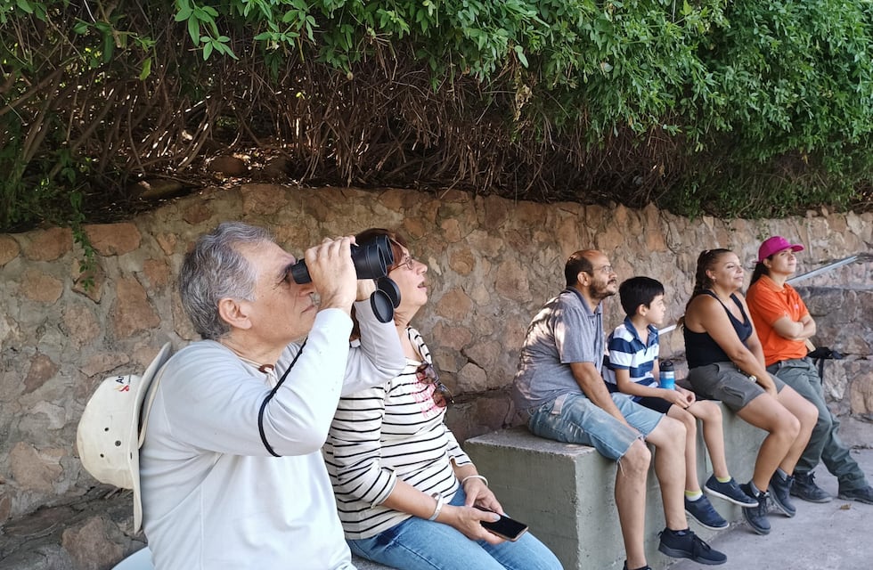 Turismo en la naturaleza: avistaje de aves en Villa Carlos Paz