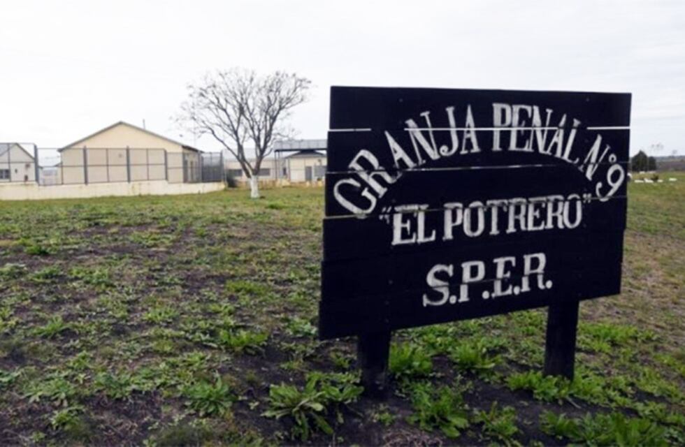 Autoridades sanitarias confirmaron 11 casos de Covid en UP9