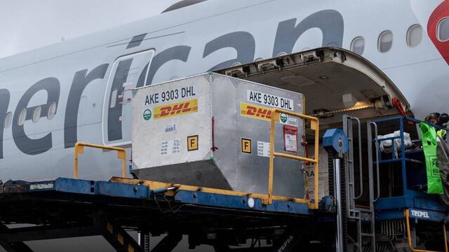 Llegan nuevas vacunas Pfizer a la Argentina. (Presidencia de la Nación)