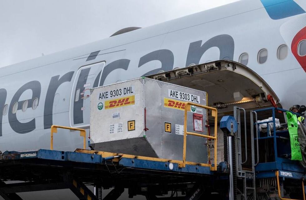 Llegaron más de 160 mil vacunas de Pfizer a la Argentina