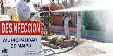 Prevención del dengue en Maipú