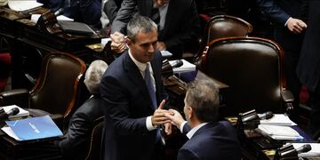 El presidente de la Cámara de Diputados, Martín Menem, y el jefe del bloque PRO, Cristian Ritondo (Foto: Federico López Claro)