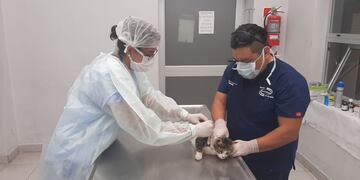 Los turnos deberán tramitarse de forma presencial a partir del viernes.