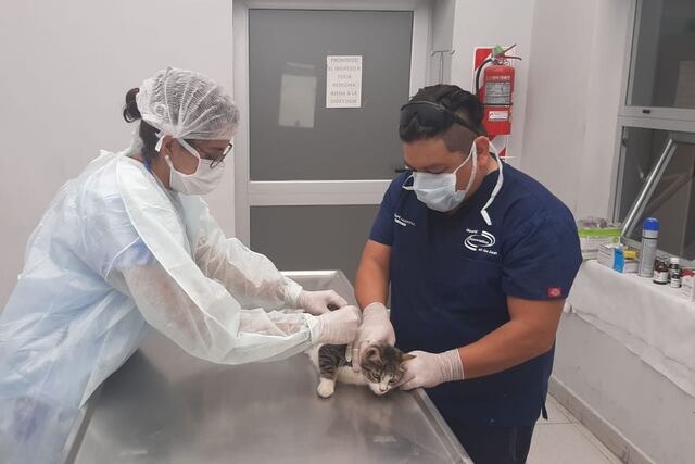 Los turnos deberán tramitarse de forma presencial a partir del viernes.