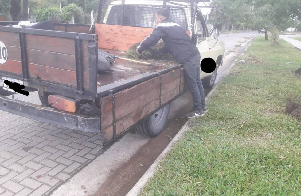 En Santa Fe se fueron al pasto y más allá: roban césped de un espacio público