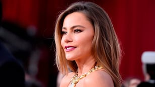 Escote y mega ajustado: Sofía Vergara lució un vestido de diseño exclusivo y desató pasiones