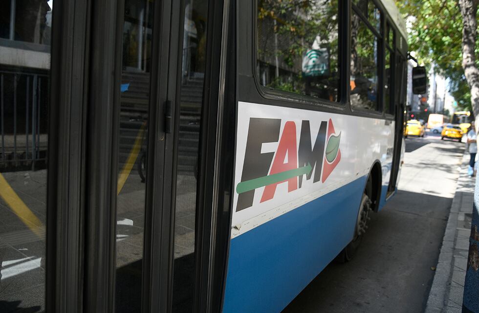“Basta de castigar a los vecinos”: el reclamo de una concejala por el transporte urbano de Córdoba