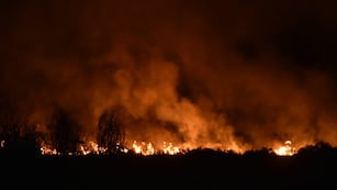 Contuvieron y extinguieron el incendio en los pastizales de Fuerza Aérea de Córdoba.