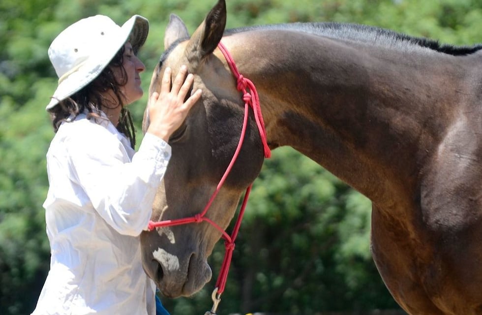 Conocé a las cuatro cordobesas que crían a los caballos “más lindos del mundo” y en peligro de extinción