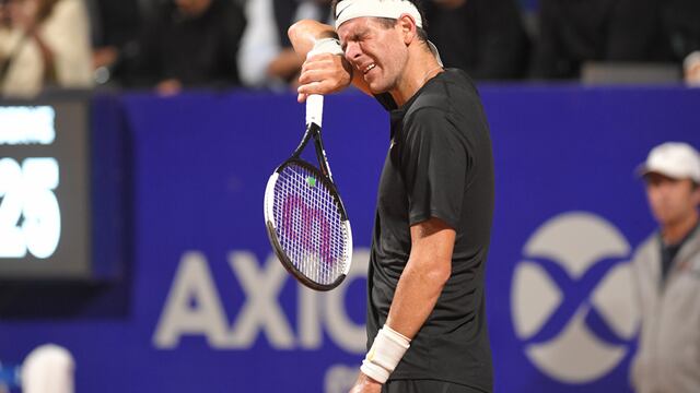 “No aguanto más el dolor”, el duro momento de Del Potro y su revelación de su futuro en el tenis