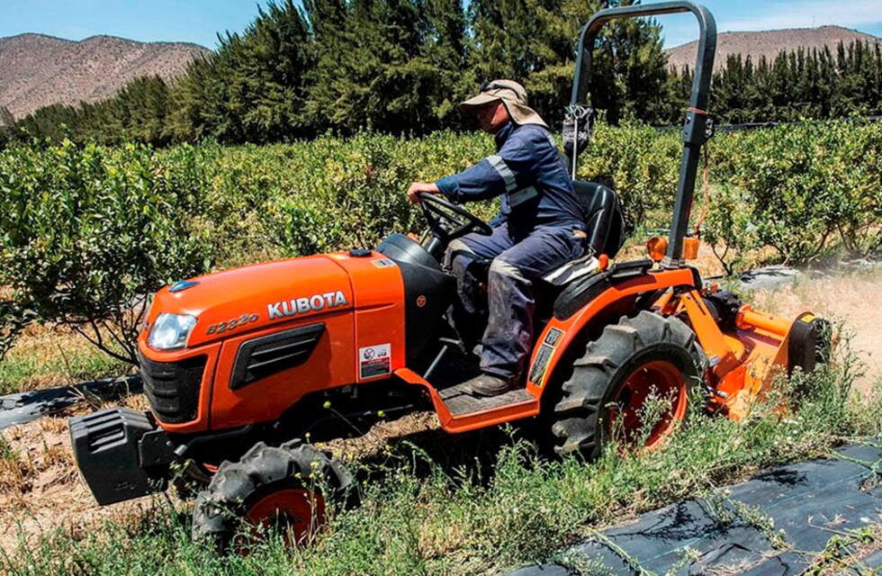 Se aprobó un Fondo Común de Inversión en dólares para el agro: que prevé la iniciativa