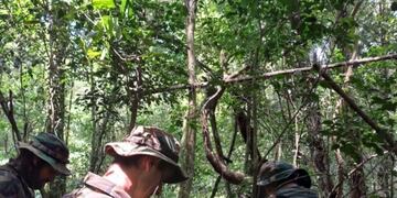 Desarticulan campamento de furtivos en Puerto Península.