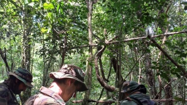 Desarticulan campamento de furtivos en Puerto Península.
