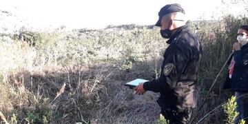 Aristóbulo del Valle: recuperan raídos de yerba y detienen a un hombre.