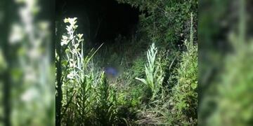 San Vicente: un hombre perdió la vida tras recibir una descarga eléctrica.
