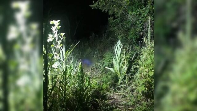 San Vicente: un hombre perdió la vida tras recibir una descarga eléctrica.