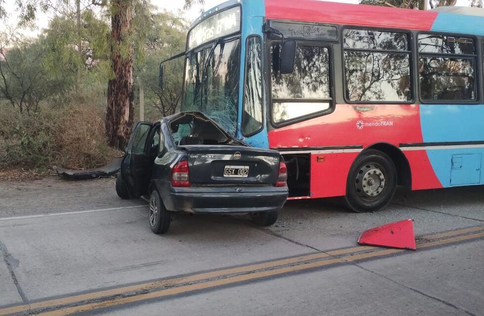 Impresionante choque: un mendocino intentó esquivar un perro, impactó contra un micro y murió