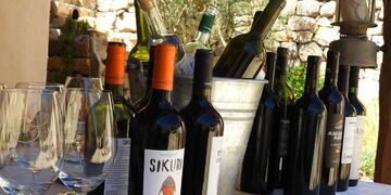Singulares vinos jujeños de extrema altura motivan un interesante proyecto turístico que será presentado en la FIT.