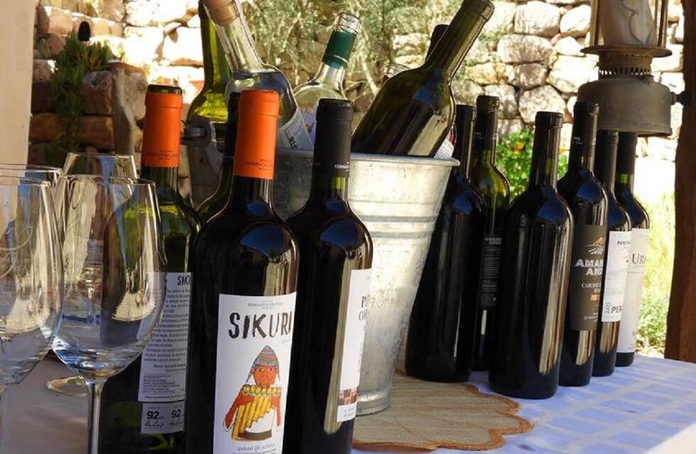 Vinos de extrema altura de Jujuy, inspiración para interesante proyecto turístico