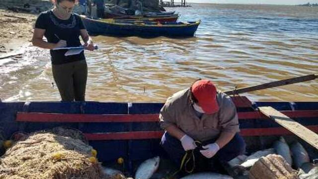 Garrafa aclaró que existe además del sistema de rotación entre pesca comercial y deportiva.