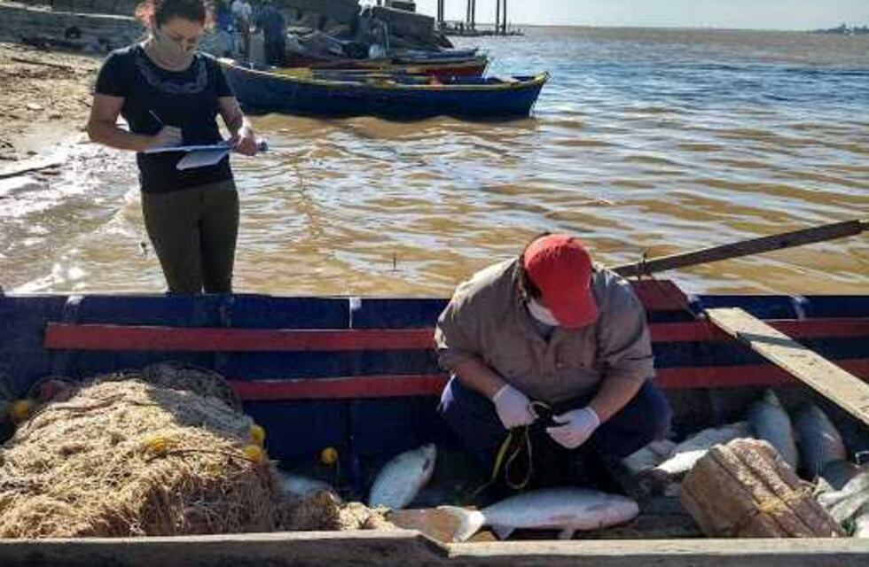 Chaco flexibilizó la pesca comercial