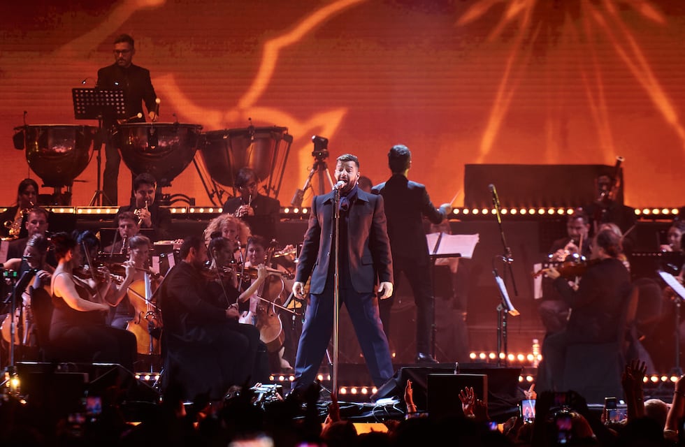 El dulce gesto que tuvo Ricky Martin con una fan de 88 años durante su show en Mendoza