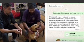 Llevó a su perrita a un pet shop para que la bañen y más tarde avisó que no la pasaría a buscar porque ya no puede tenerla.