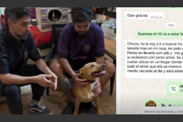 Llevó a su perrita a un pet shop para que la bañen y más tarde avisó que no la pasaría a buscar porque ya no puede tenerla.